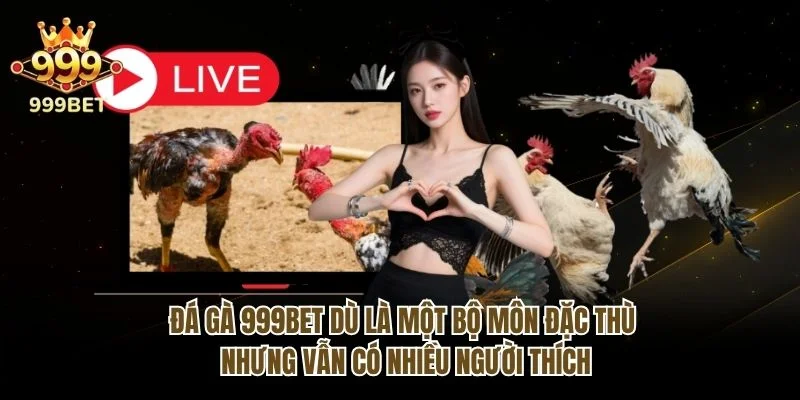 Đá gà 999bet dù là một bộ môn đặc thù nhưng vẫn có nhiều người thích