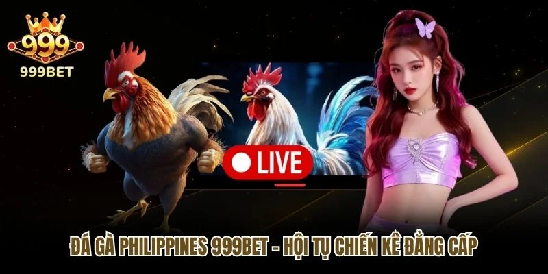 Đá Gà Philippines 999bet - Hội Tụ Chiến Kê Đẳng Cấp
