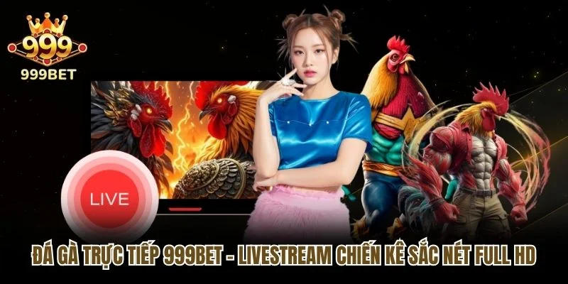 Đá Gà Trực Tiếp 999bet - Livestream Chiến Kê Sắc Nét Full HD