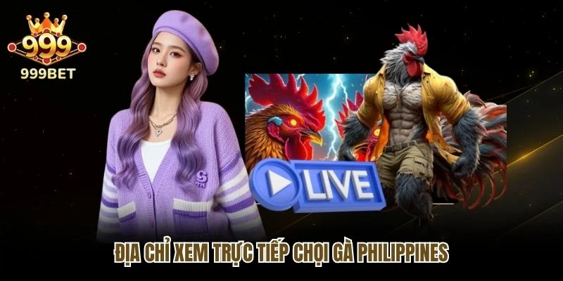 Địa chỉ xem trực tiếp chọi gà Philippines