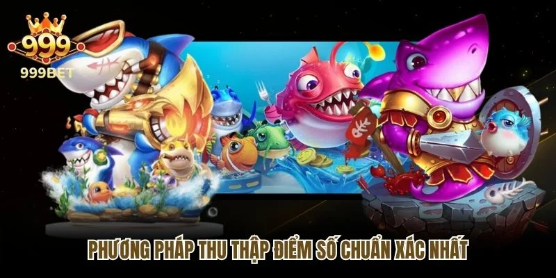 Phương pháp thu thập điểm số chuẩn xác nhất