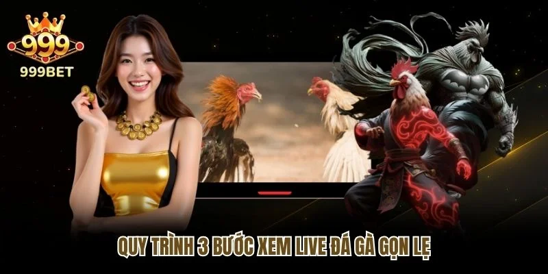 Quy trình 3 bước xem live đá gà gọn lẹ