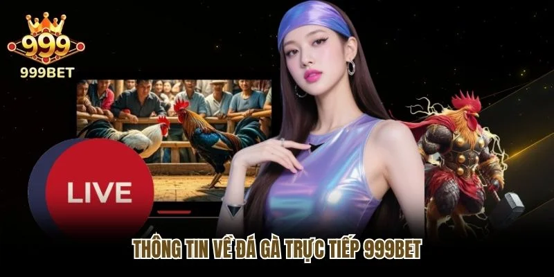 Thông tin về đá gà trực tiếp 999bet